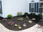Flowers and plants in new mulch.

Installed by Aaron of Landscape Solutions. Rochester NY. 14616

585-342-5296