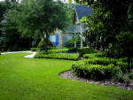 Well groomed lawn and landscaping